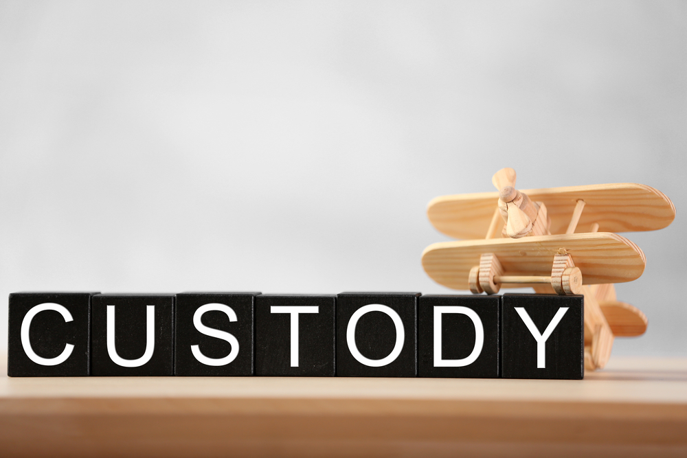 What’s The Difference Between Custody And Visitation? - King Law