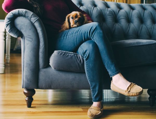 lady and dog sitting on blue sofa
