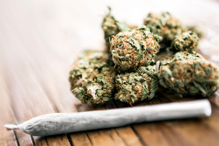 Examining Probable Cause The Smell of Marijuana and Vehicle Searches in North Carolina