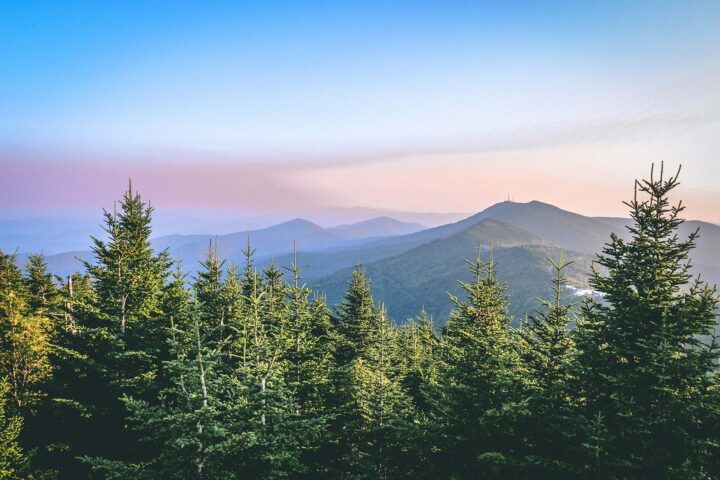 Conservation Easements