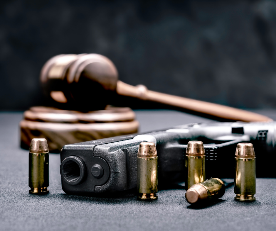 TN-gun-rights