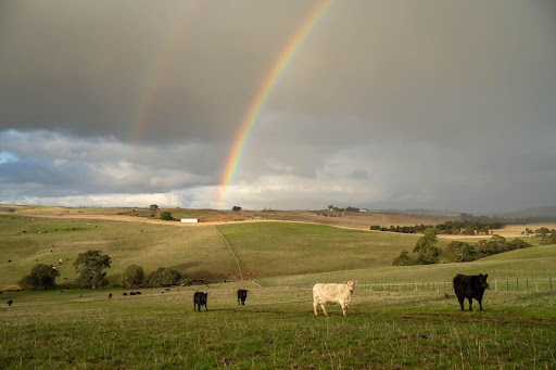 Conservation easements can protect land from development, allowing it to be used for agricultural or other land preservation uses.