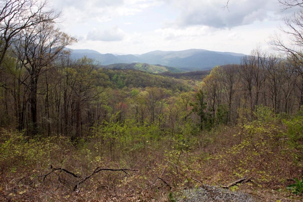A patch of mountainous land in Tennessee lay bare amid a dispute regarding mineral rights and surface rights